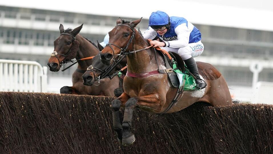 Cepage in action at Cheltenham